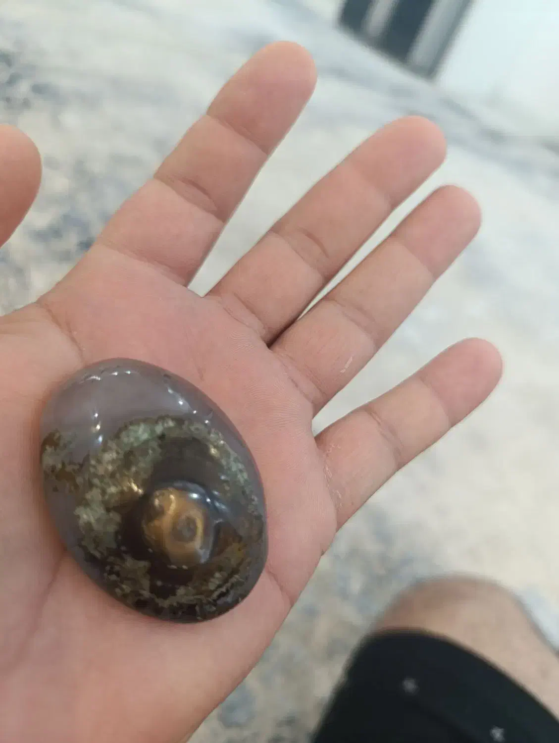 یه عقیق بنفش با یه چشم زرد منحصر به فرد|جواهرات|بندرعباس, |دیوار