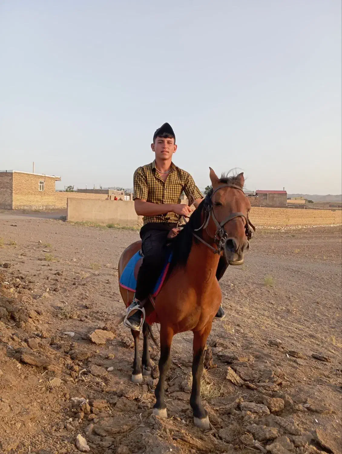 اسب نریان|اسب و تجهیزات اسب‌سواری|سبزوار, زینبیه|دیوار