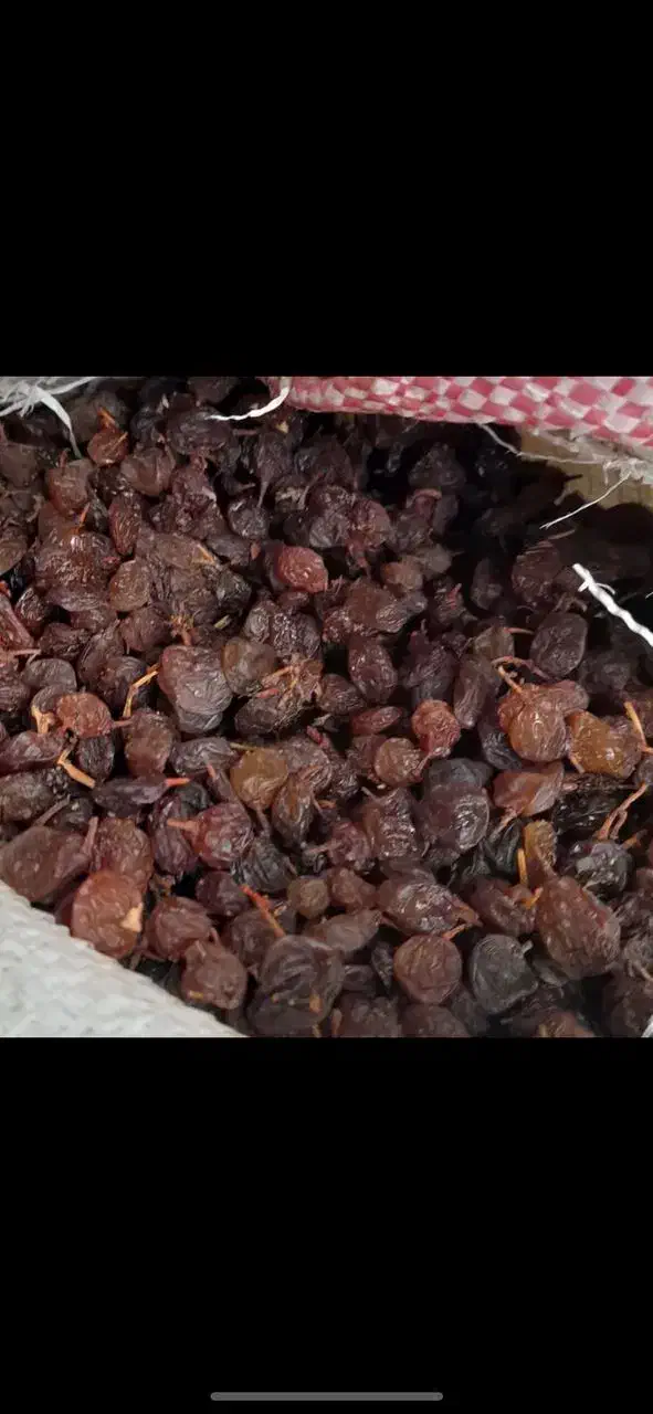 کشمش بیدانه و مویز|عمده‌فروشی|رشت, باهنر|دیوار