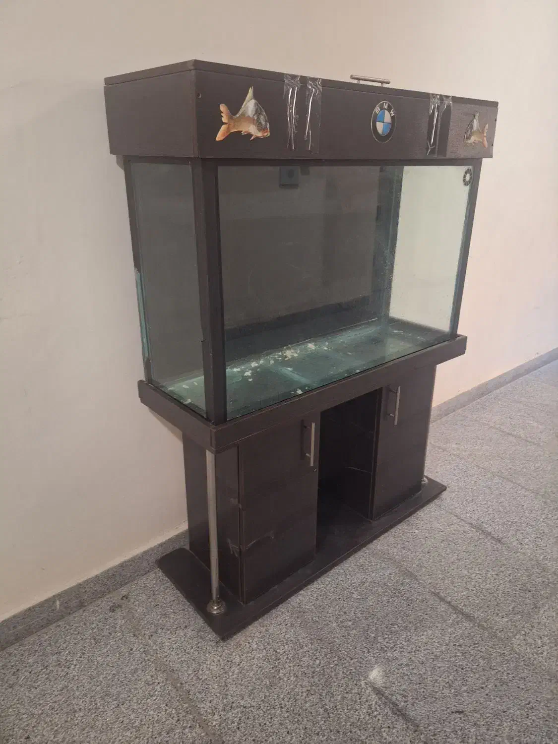 آکواریوم بزرگ|ماهی|پرند, فاز ۶|دیوار