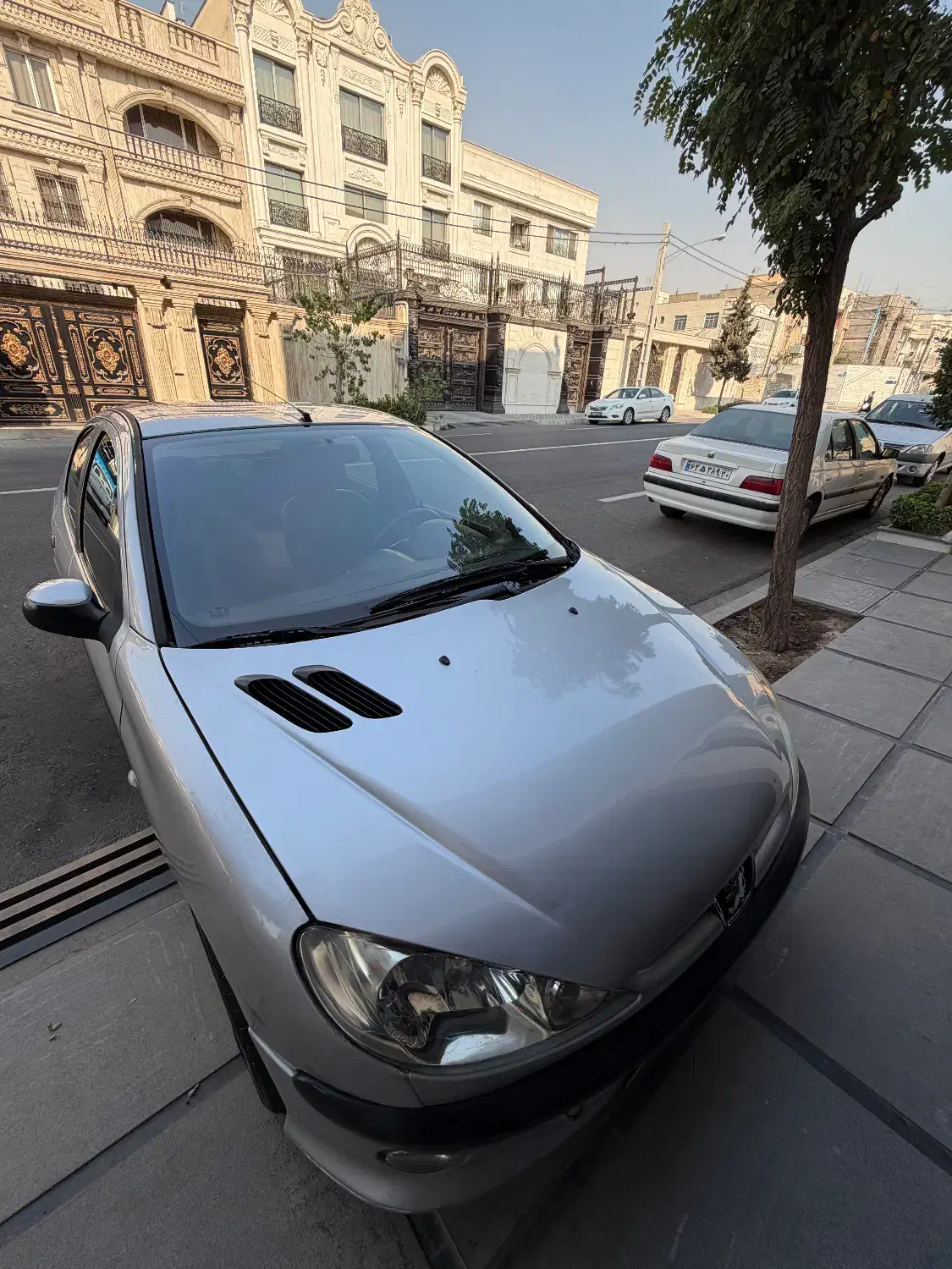 پژو ۲۰۶ v8 تیپ ۵ فول (206 SD)|خودرو سواری و وانت|تهران, دهکده المپیک|دیوار