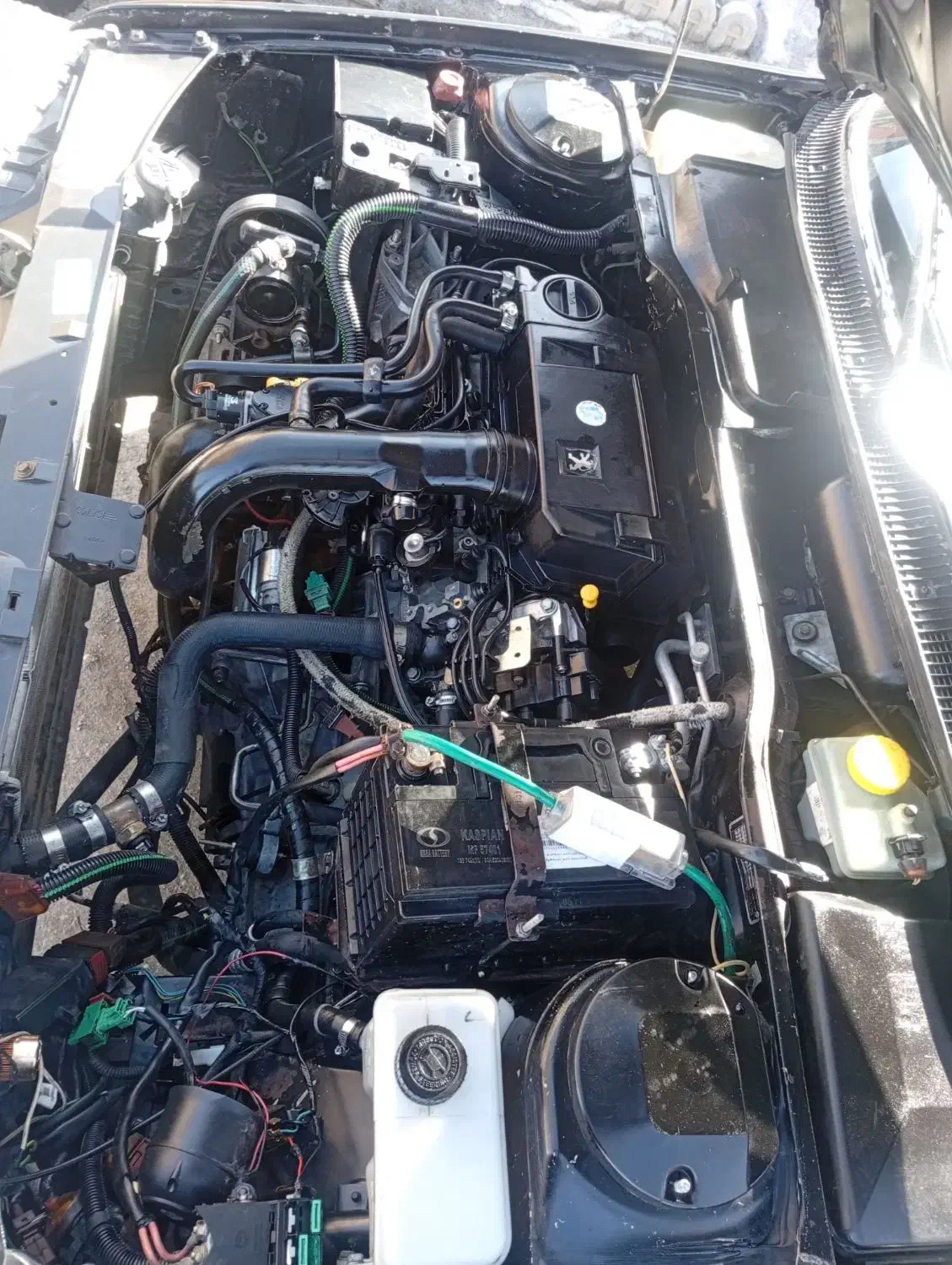 پژو 405 مشگی عروسک|خودرو سواری و وانت|سامان, |دیوار