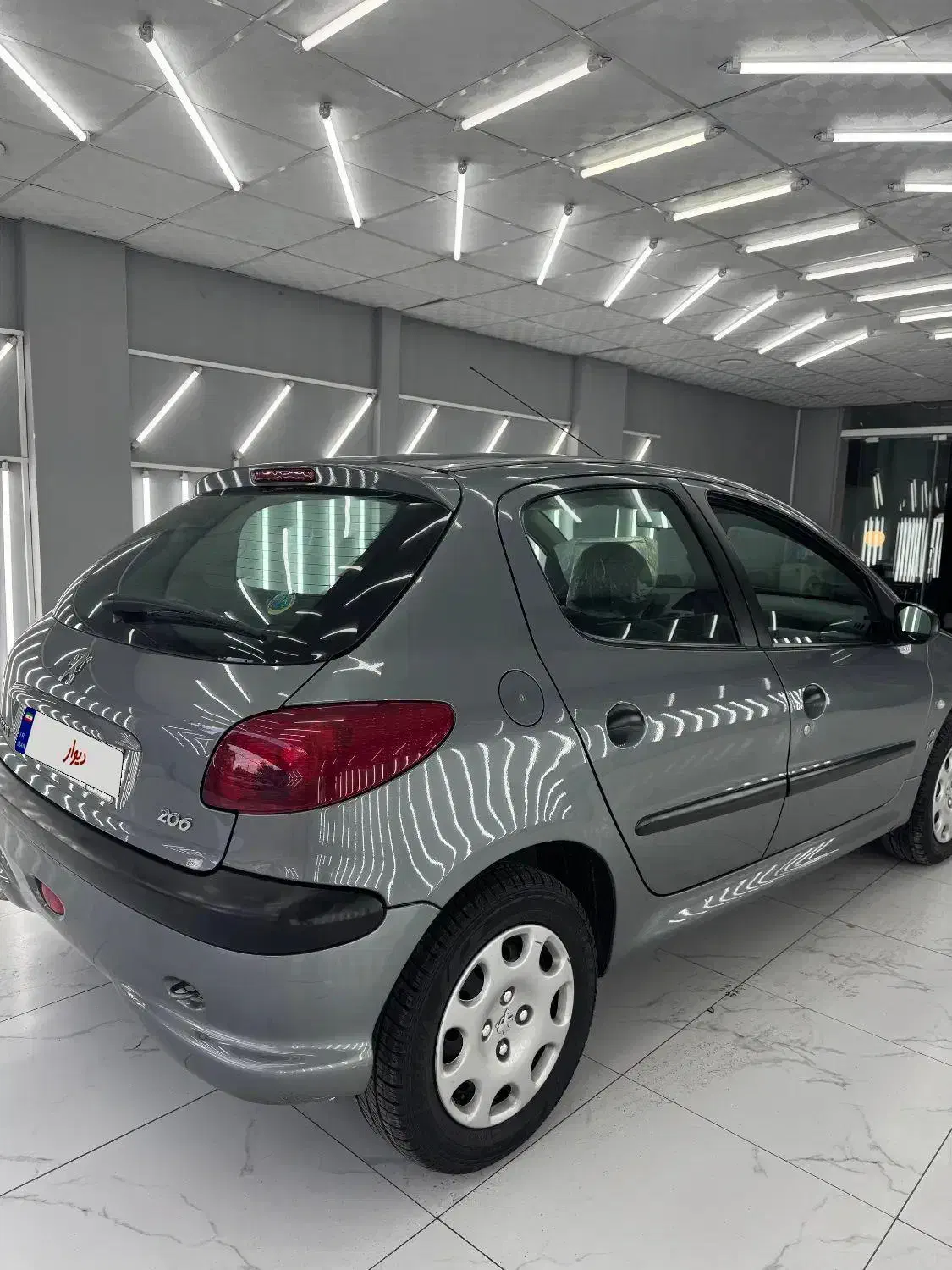 206تیپ دو مدل 89|خودرو سواری و وانت|رشت, کاکتوس|دیوار