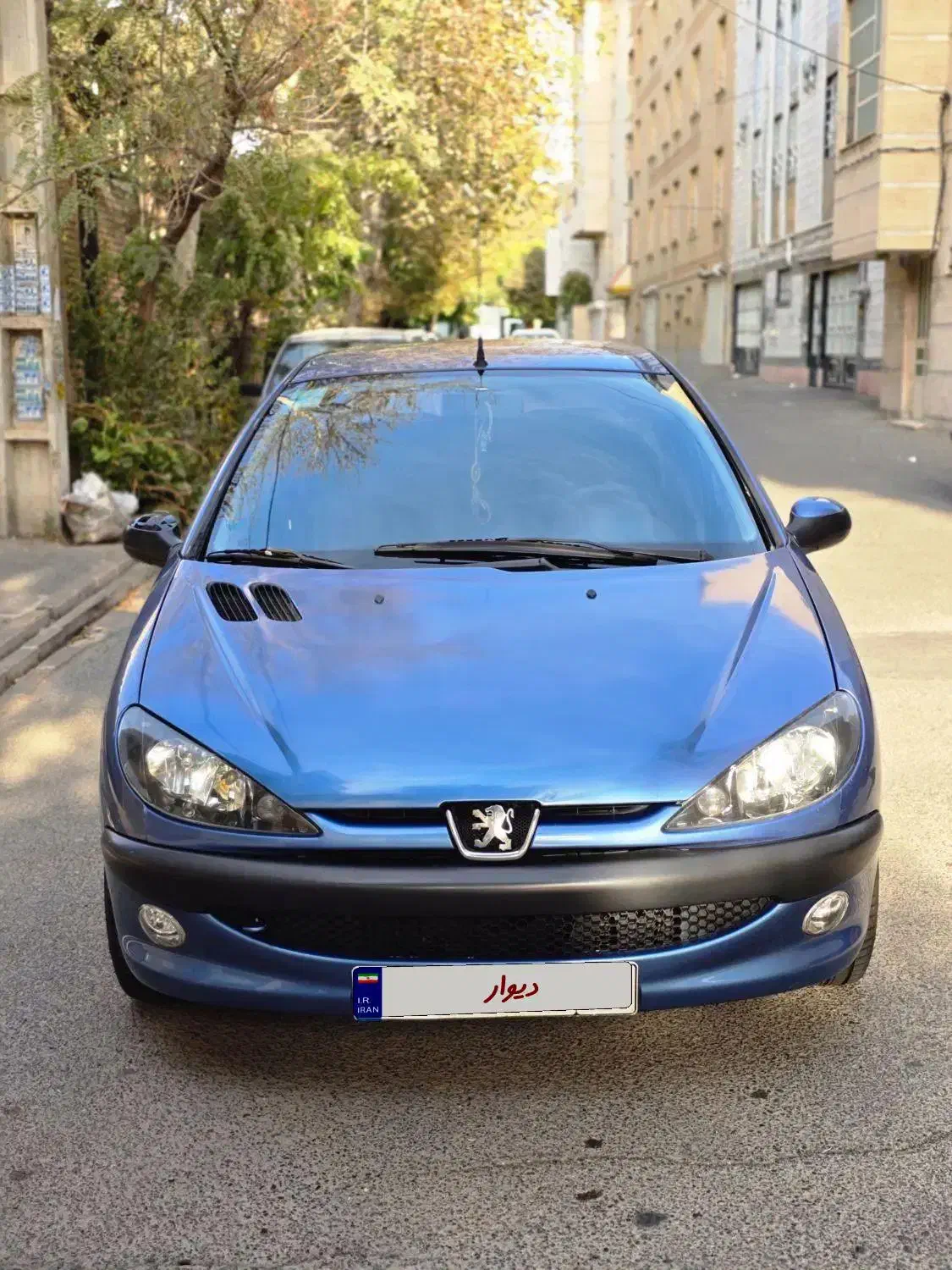 206 sd v8|خودرو سواری و وانت|کرج, اصفهانی‌ها|دیوار