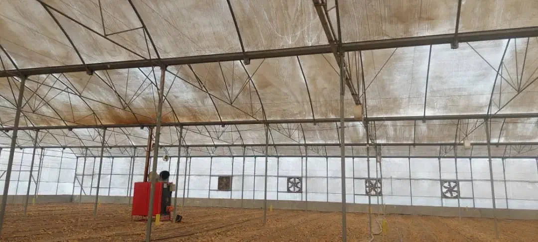 فروش سازه دسته دوم گلخانه گاتیک طرح اسپانیایی|فروش دفتر صنعتی، کشاورزی، تجاری|رامهرمز, |دیوار