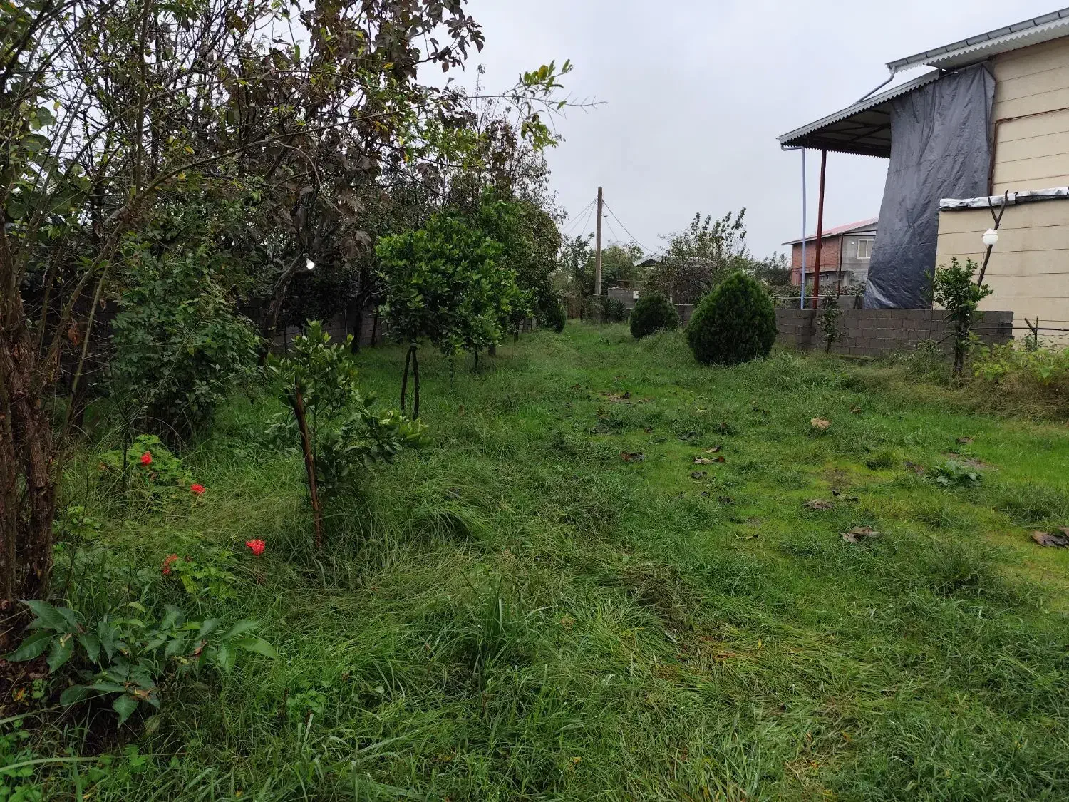 باغ ویلا|فروش خانه و ویلا|لیسار, |دیوار