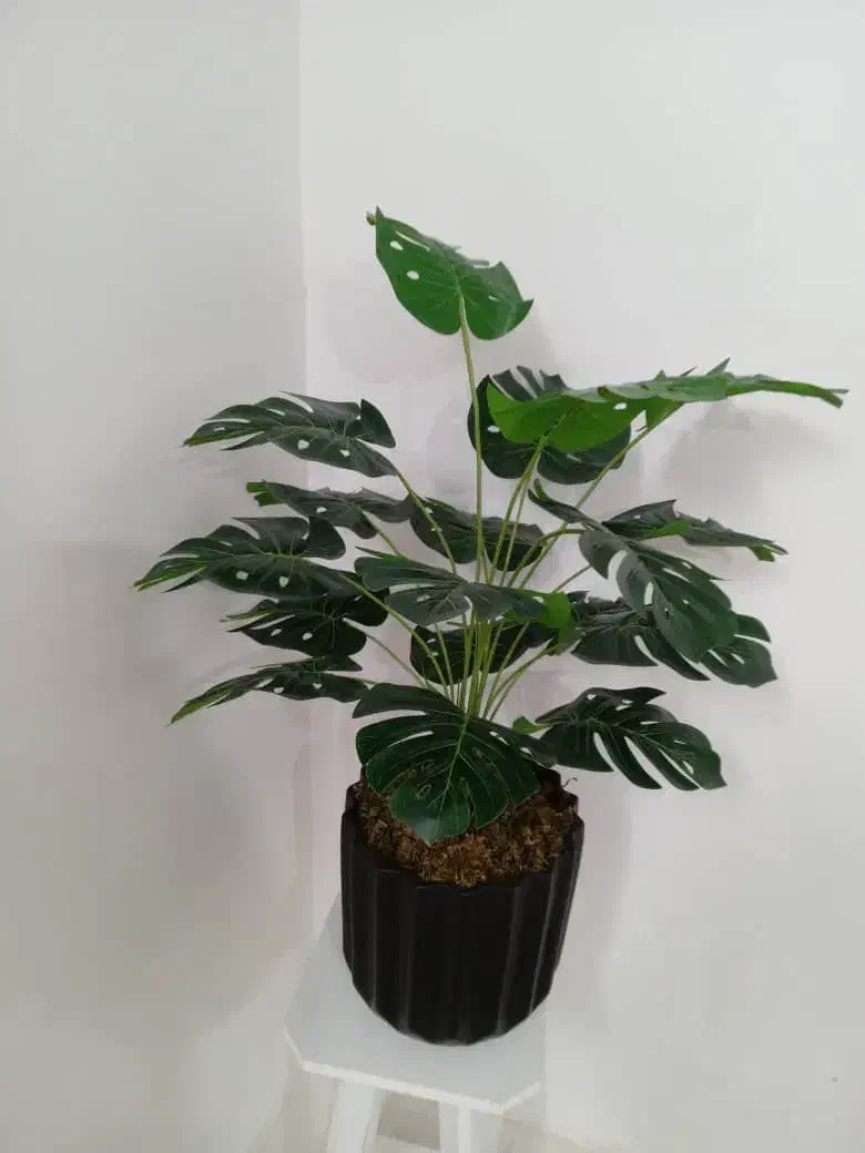 گل مصنوعی|گل مصنوعی|مشهد, طبرسی شمالی|دیوار