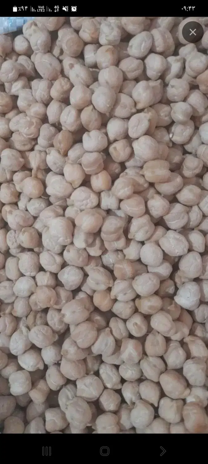 نخو تازه|خوردنی و آشامیدنی|تهران, زمزم|دیوار