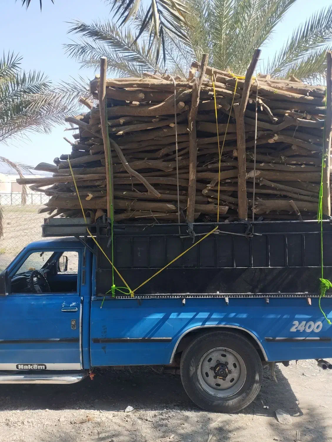 بریدن و خرید چوب لیمو از باغ دار|خدمات باغبانی و درختکاری|رودان, |دیوار