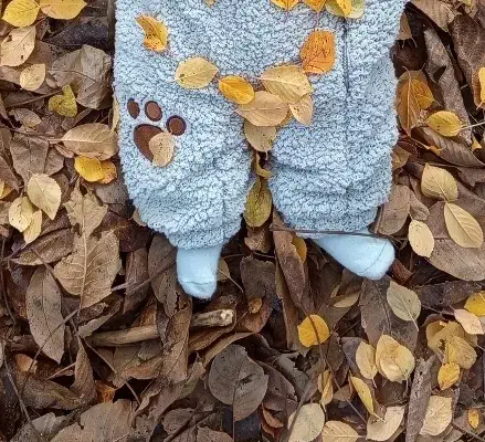 وسایل کودک فروشی|کالسکه و لوازم جانبی|بوکان, |دیوار