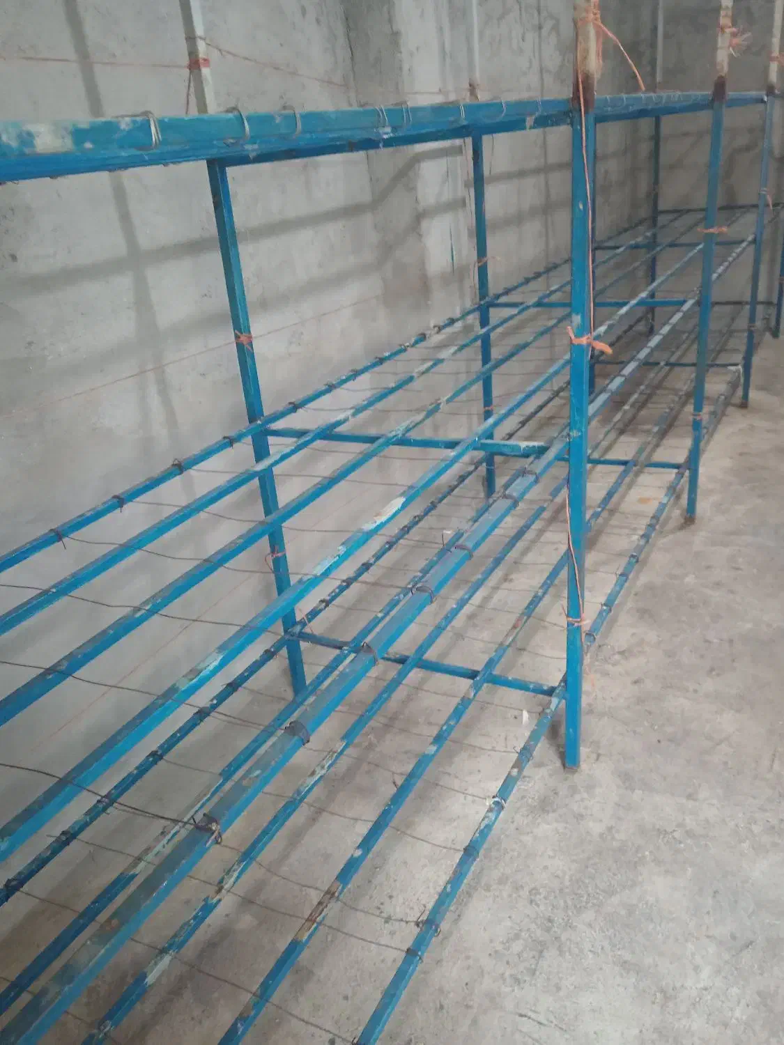 طبقه بندی قارج|فروشگاه و مغازه|بوشهر, |دیوار