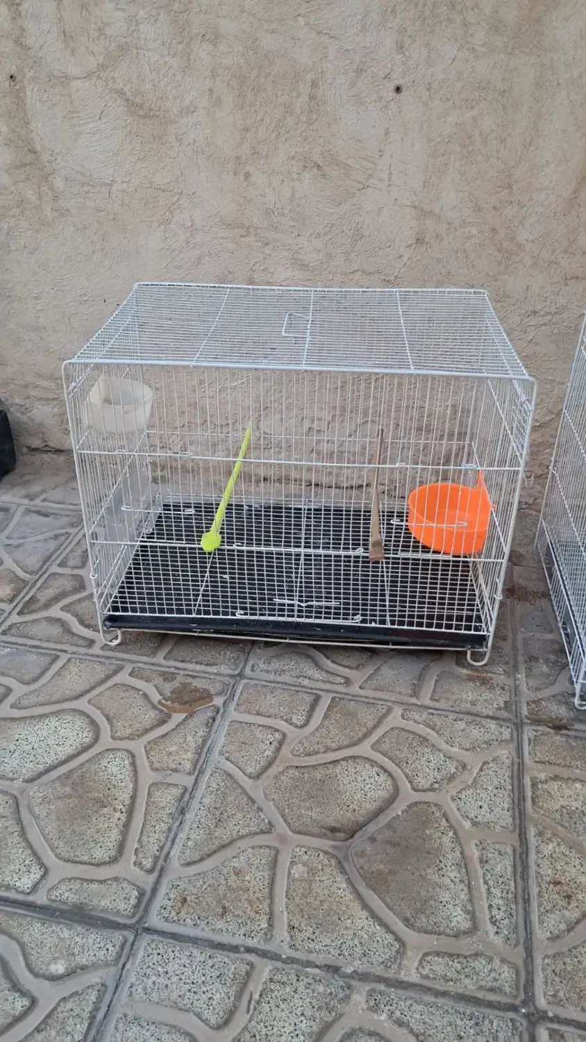 قفس پرنده|لوازم جانبی حیوانات|مشهد, مهدی آباد|دیوار