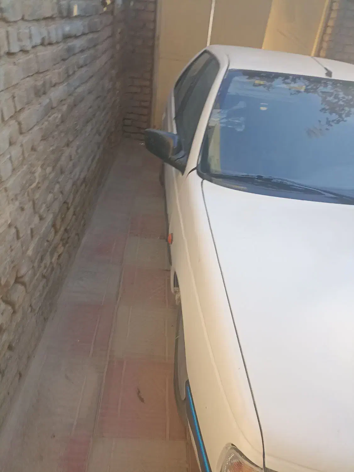 آردی ۸۴|خودرو سواری و وانت|تربتحیدریه, منظر|دیوار