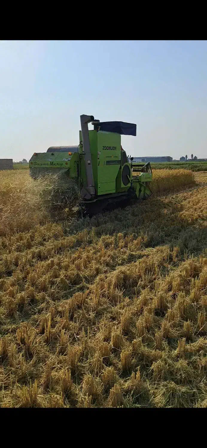 زوملاین گلد 2020|خودرو سنگین|آکند, |دیوار