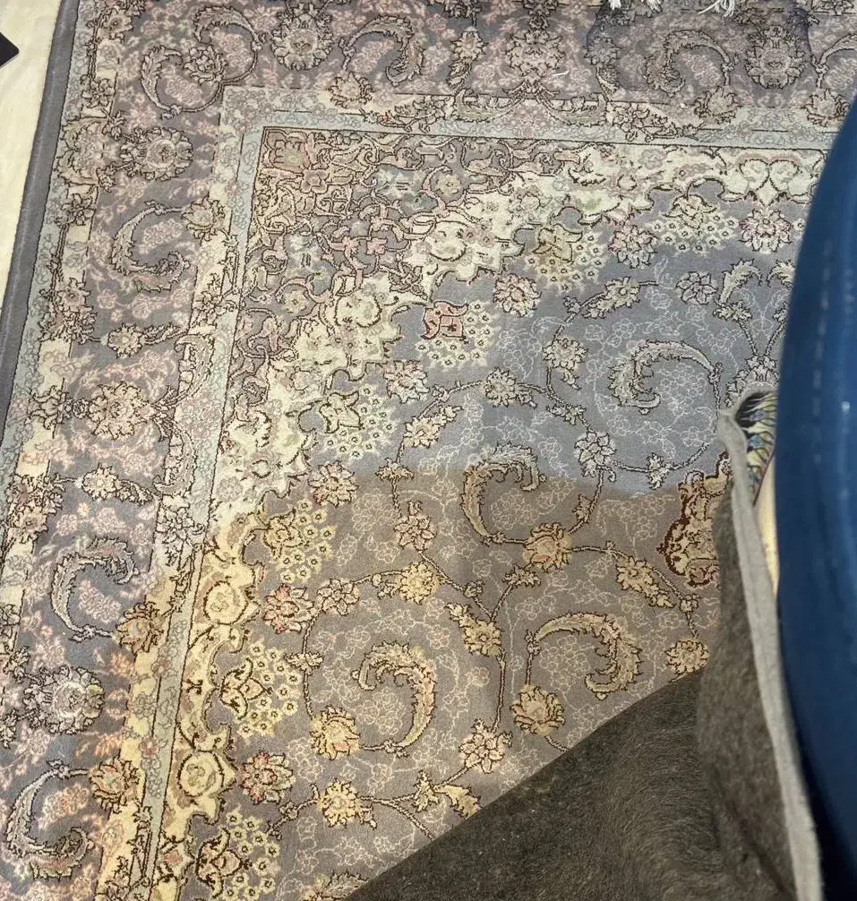 فرش ابریشم فرح|فرش|کرج, شاهینویلا|دیوار