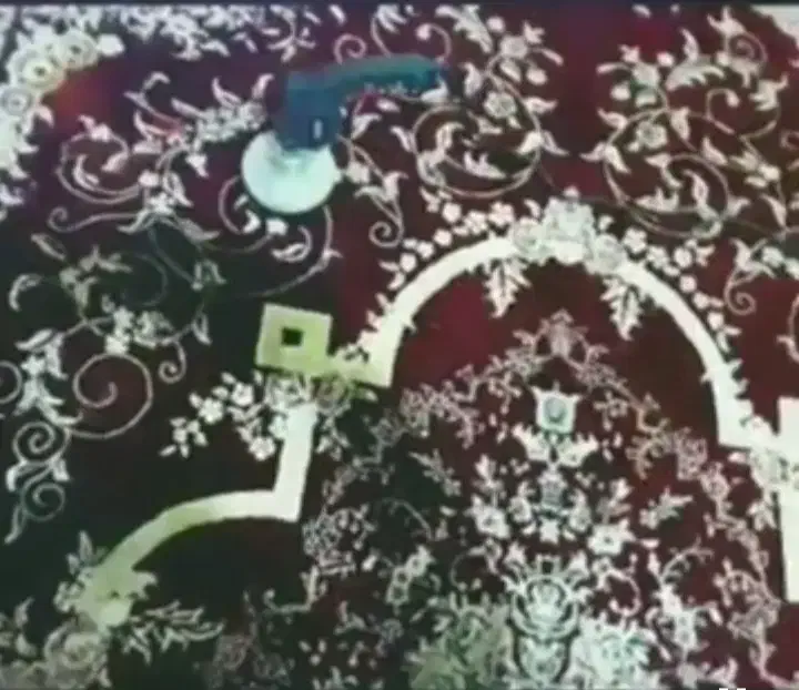 مبل شویی و قالیشویی پاکان|خدمات نظافت|شیراز, ریاستی|دیوار