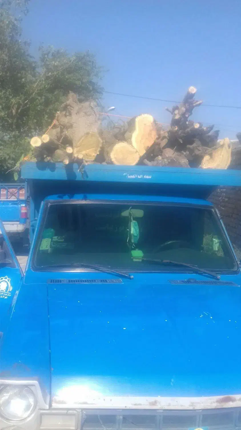 چوب های باغی شمارو خریدارم|خدمات باغبانی و درختکاری|گرگان, |دیوار