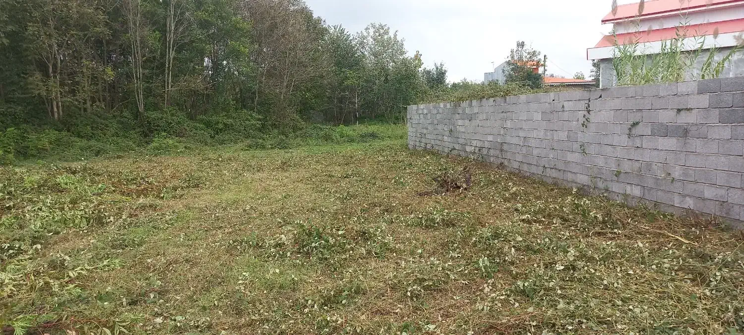 چمن زنی وبریدن علفهای هرز|خدمات باغبانی و درختکاری|آستانه اشرفیه, |دیوار