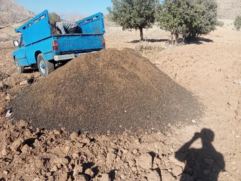 کود حیوانی گوسفندی|خدمات باغبانی و درختکاری|خرمآباد, |دیوار