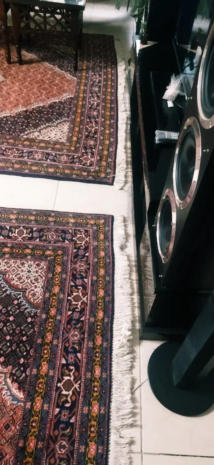 فرش دست بافت جفت ۶ ریز ماهی|فرش|شاهینشهر, خبرنگار|دیوار