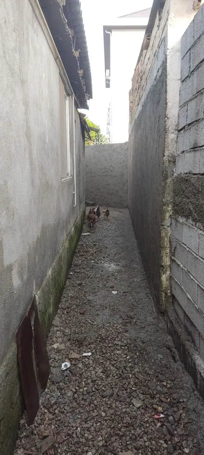 کاربنایی صفرتا صد|استخدام معماری، عمران و ساختمانی|چالوس, |دیوار