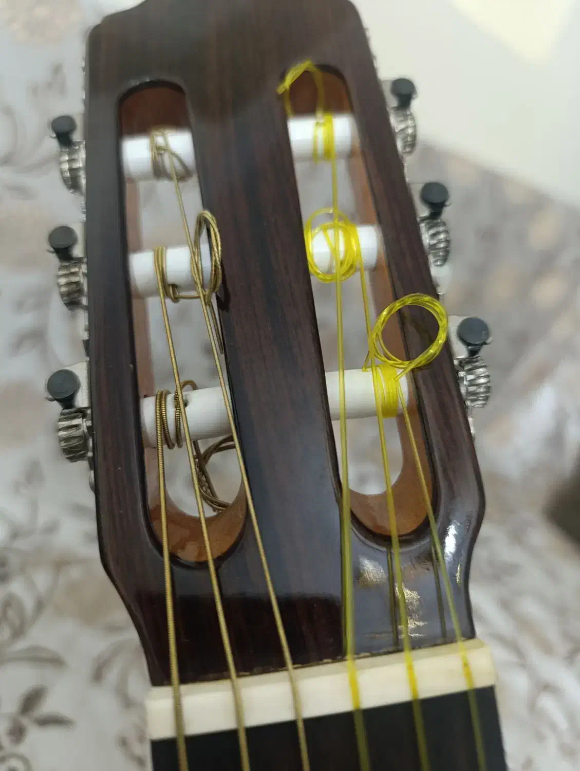 گیتار استیو 4ste|گیتار، بیس، امپلیفایر|ارومیه, |دیوار