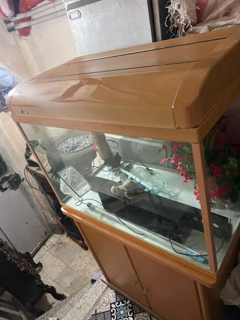 فروش آکواریوم کامل با میز و لوازم|ماهی|رشت, حمیدیان|دیوار