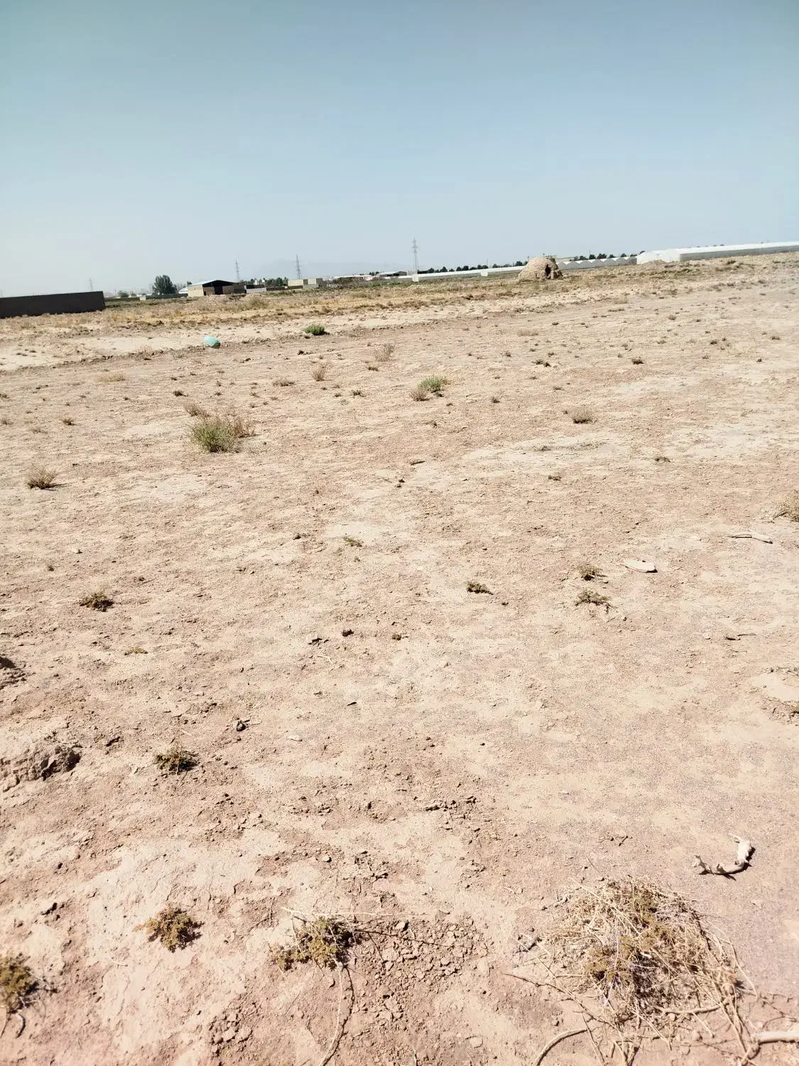 زمین دهنو|فروش زمین و ملک کلنگی|یزد, |دیوار