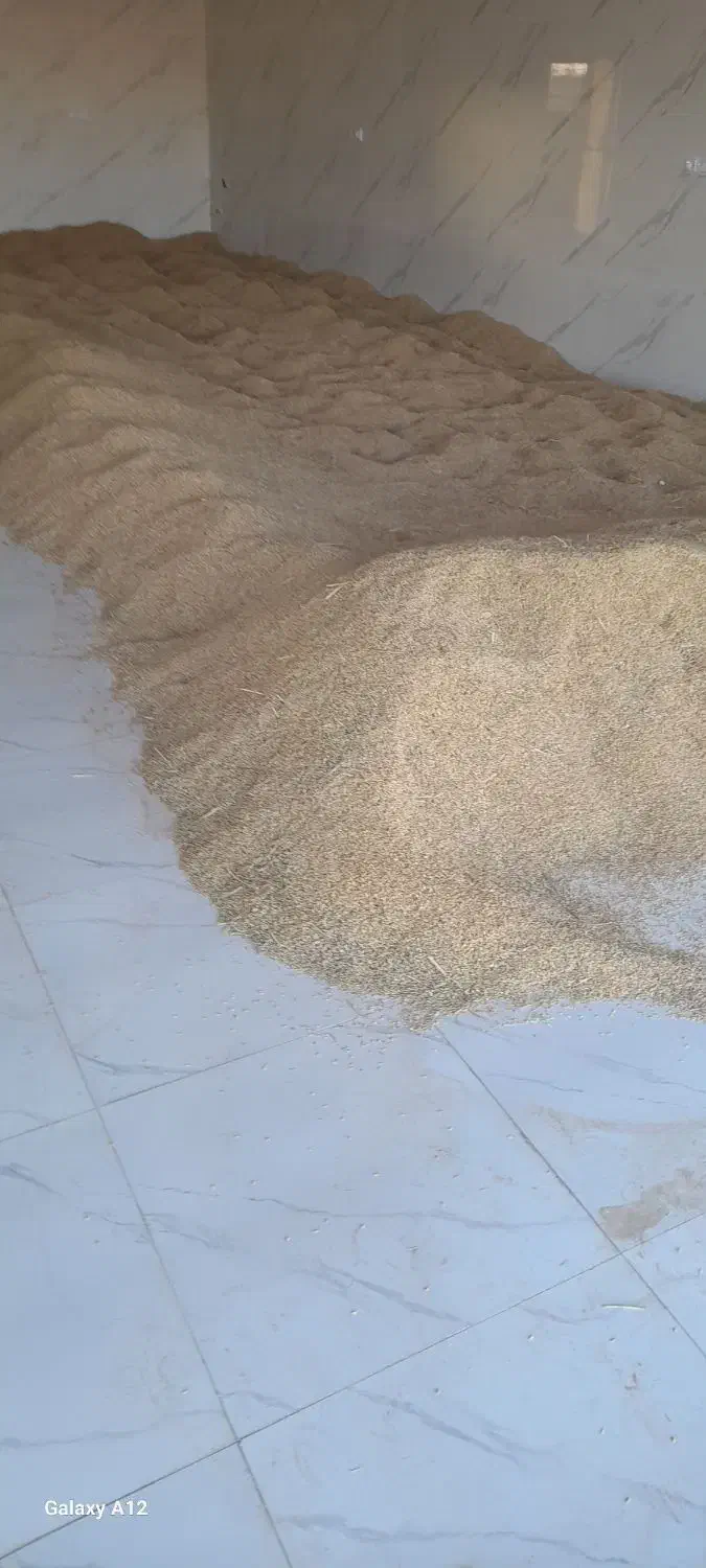 برنج گرده ماه نشان|عمدهفروشی|زنجانرود, |دیوار