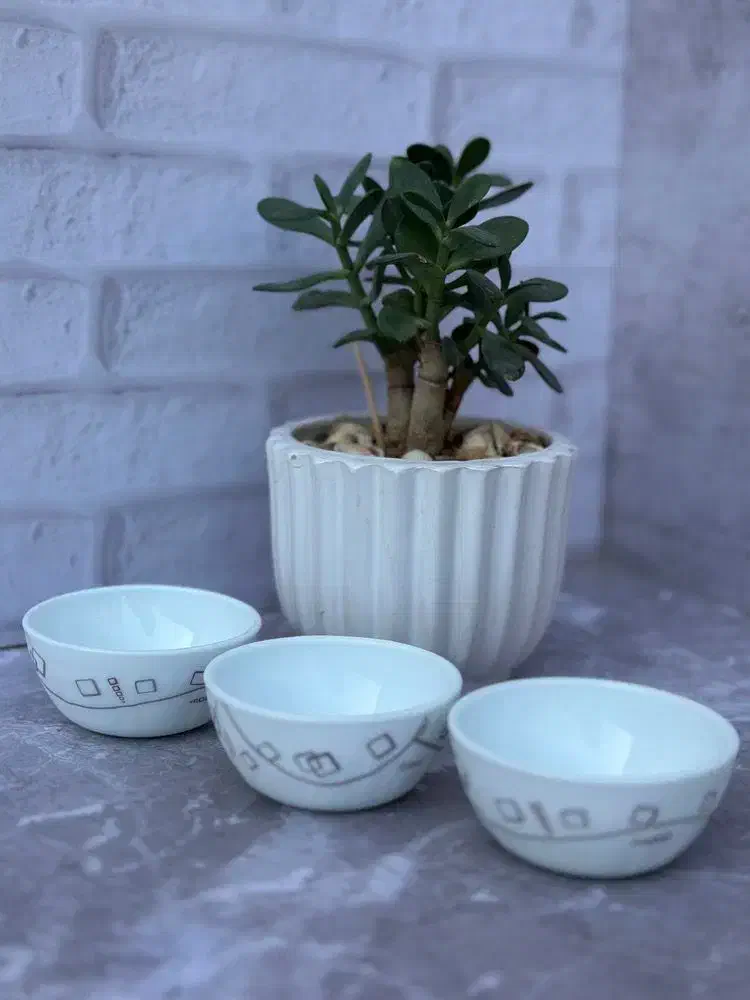 پیاله .ابگوشت خوری .کاسه سالاد ارکوپال|ظروف سرو و پذیرایی|شیروان (خراسان), |دیوار