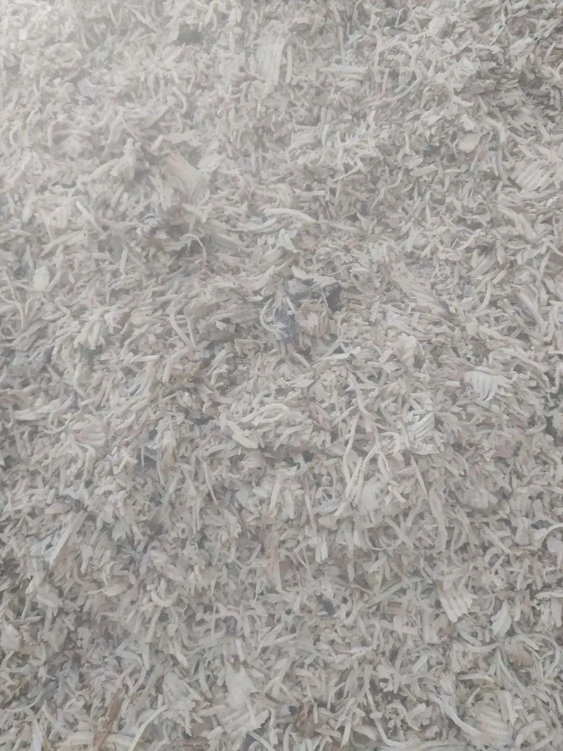 تفاله تر و دونم دونم|لوازم جانبی حیوانات|جوین, |دیوار