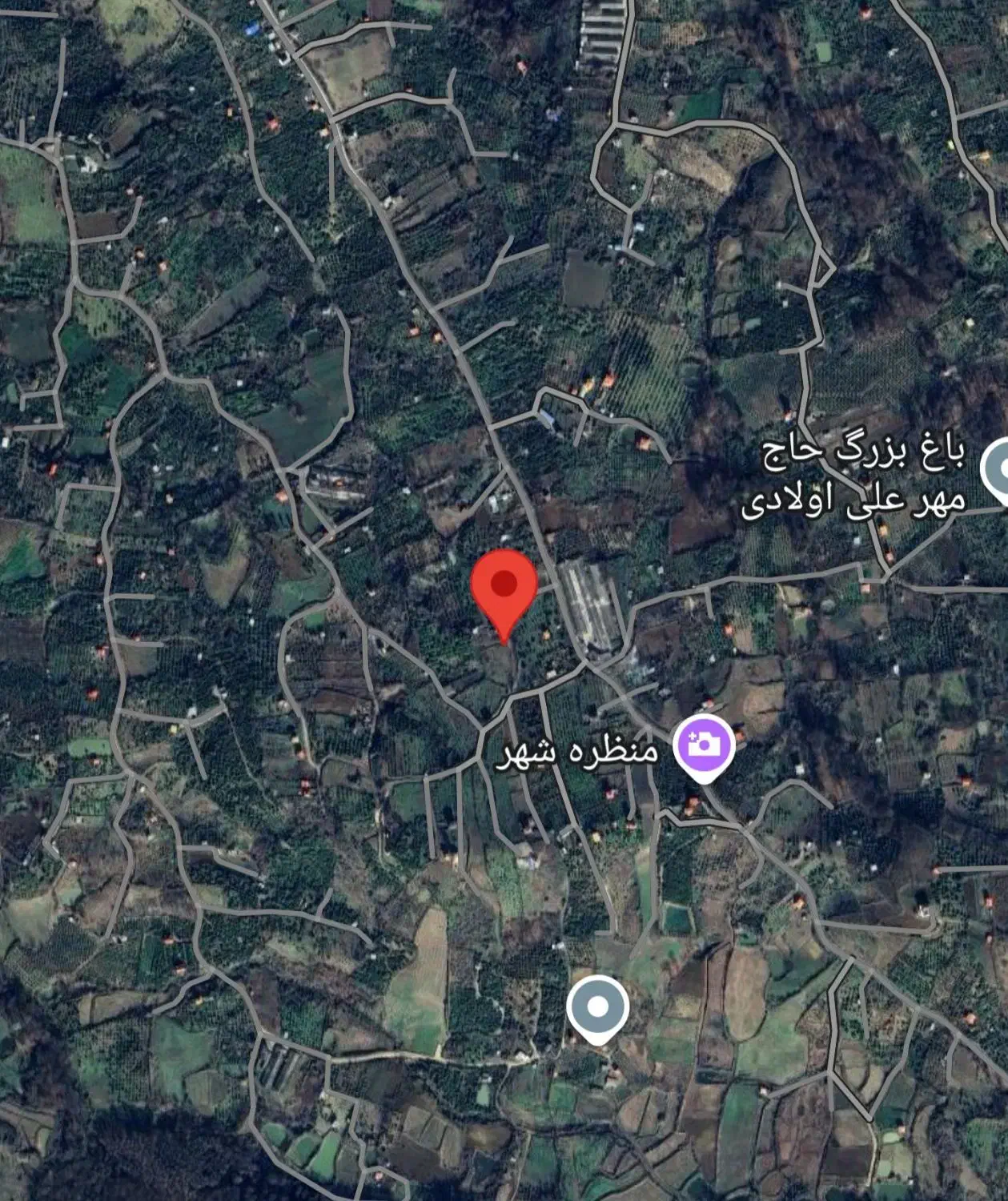 زمین ویلائی در جاده مرداب قادیکلا بزرگ قائمشهر|فروش زمین و ملک کلنگی|قائم‌شهر, |دیوار