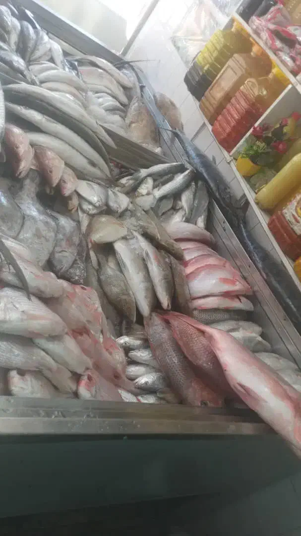 آن ماهی جنوب دریای|ماهی|یزد, |دیوار