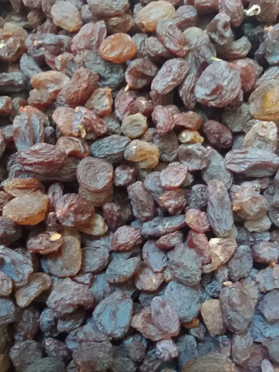 کشمش بیدانه آفتابی تاکستان پاک شده|خوردنی و آشامیدنی|تهران, بهداشت|دیوار