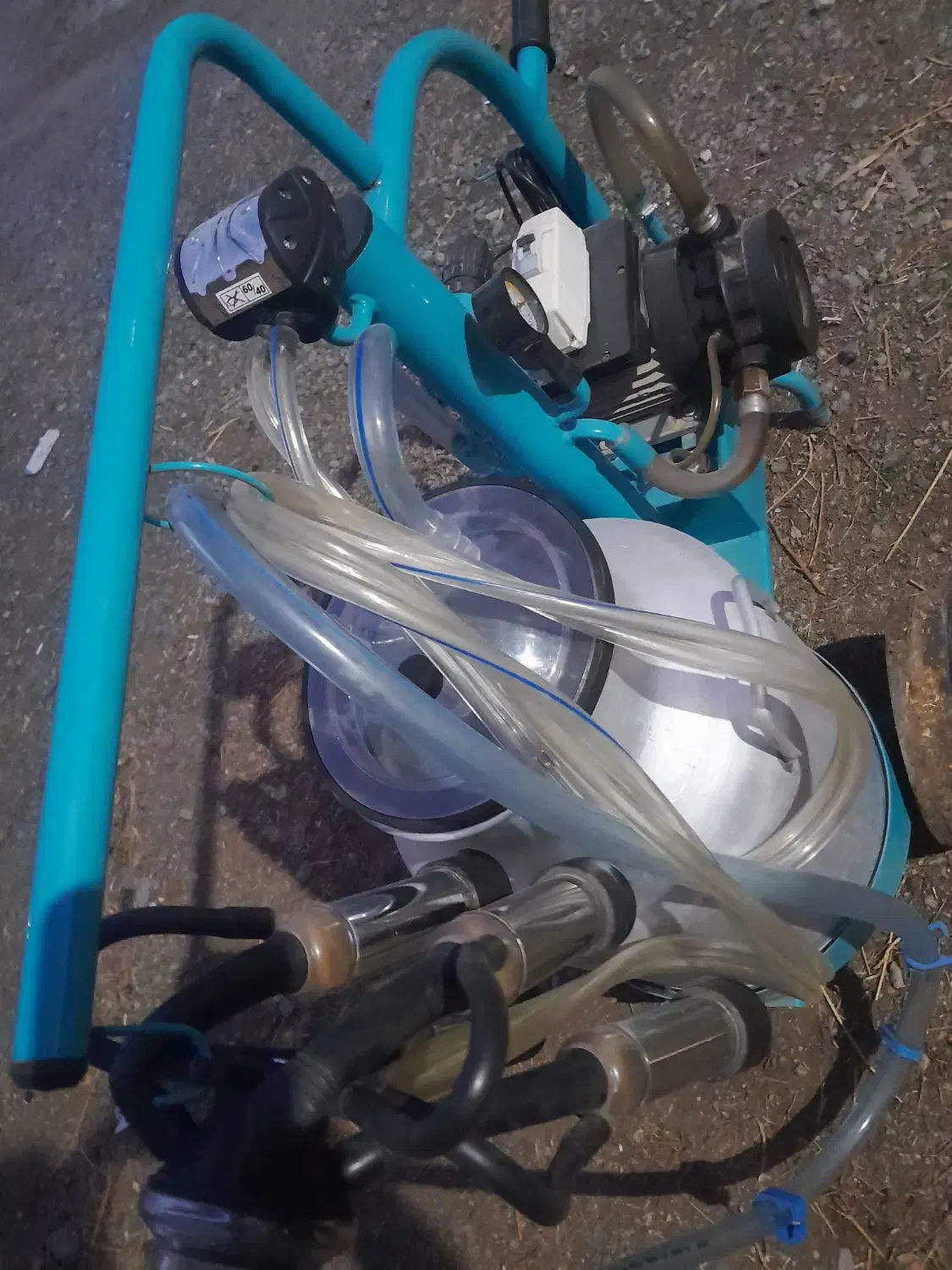 شیردوش|لوازم جانبی حیوانات|سلماس, |دیوار