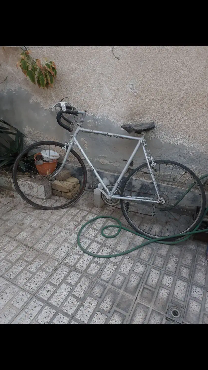 دوچرخه کرسی|دوچرخه، اسکیت، اسکوتر|مشهد, پنجتن|دیوار