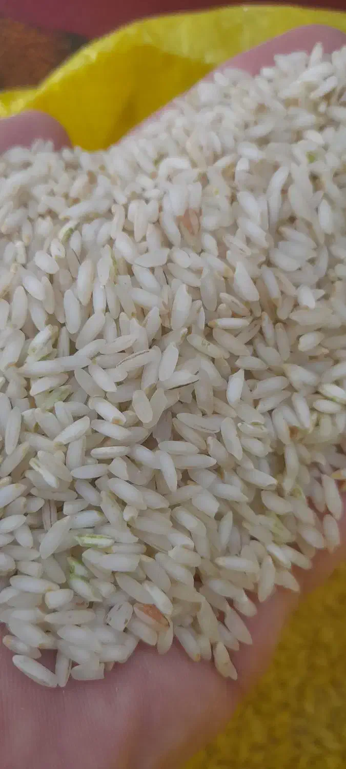 برنج عنبربو معطر اعلاء به قیمت عمده زیر قیمت|خوردنی و آشامیدنی|اصفهان, رزمندگان|دیوار