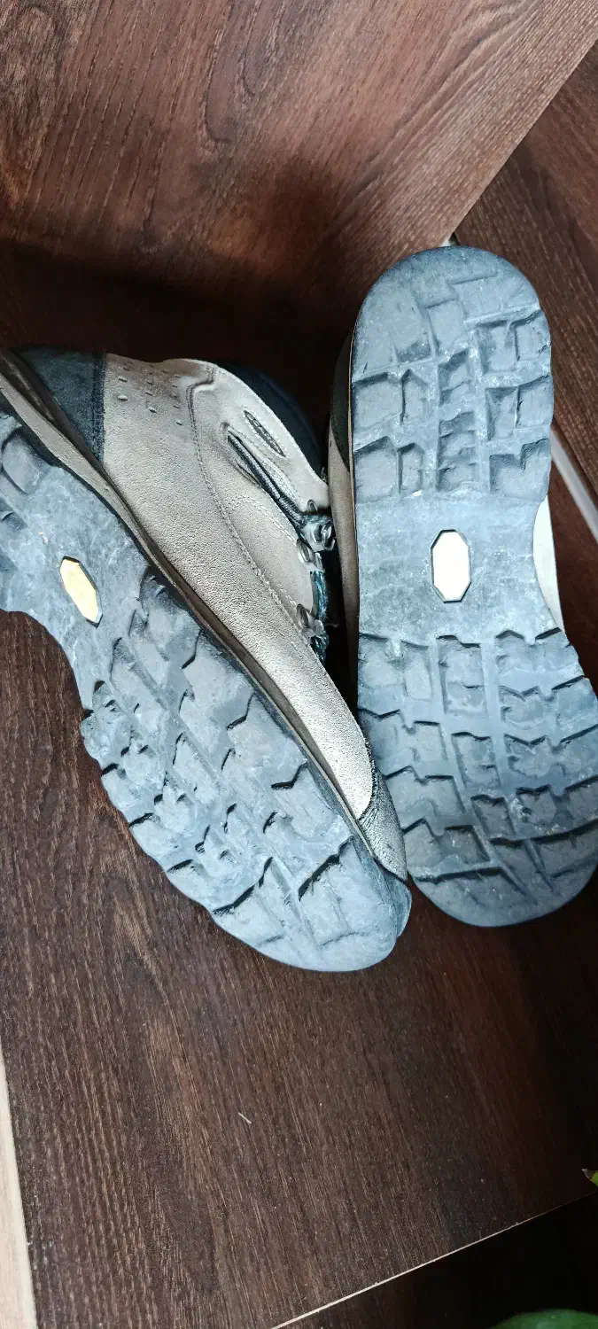 کفش کوهنوردی (۴۰)|کوهنوردی و کمپینگ|شیراز, رکنآباد|دیوار