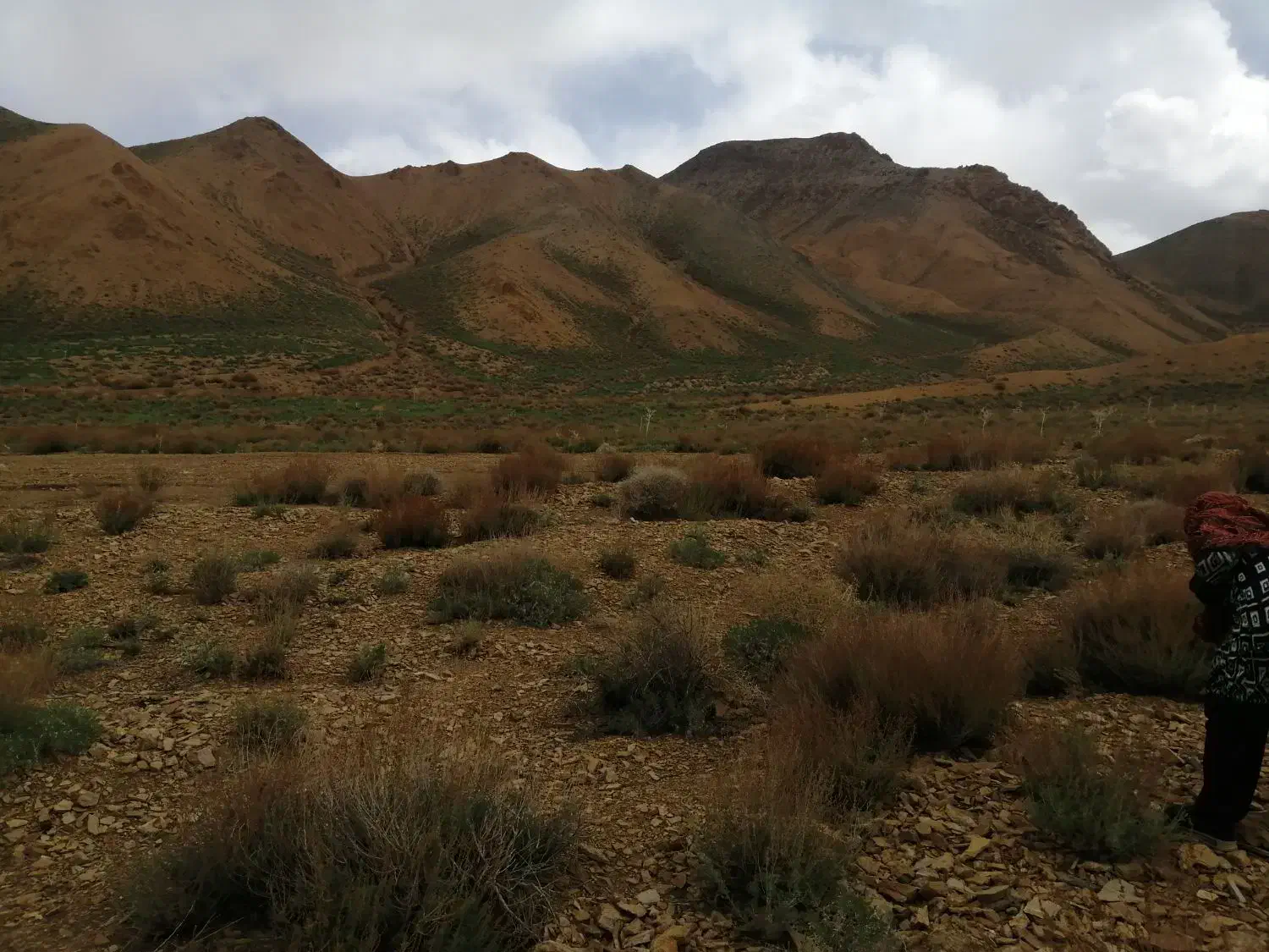 جویای کار|استخدام اداری و مدیریت|بیرجند, |دیوار