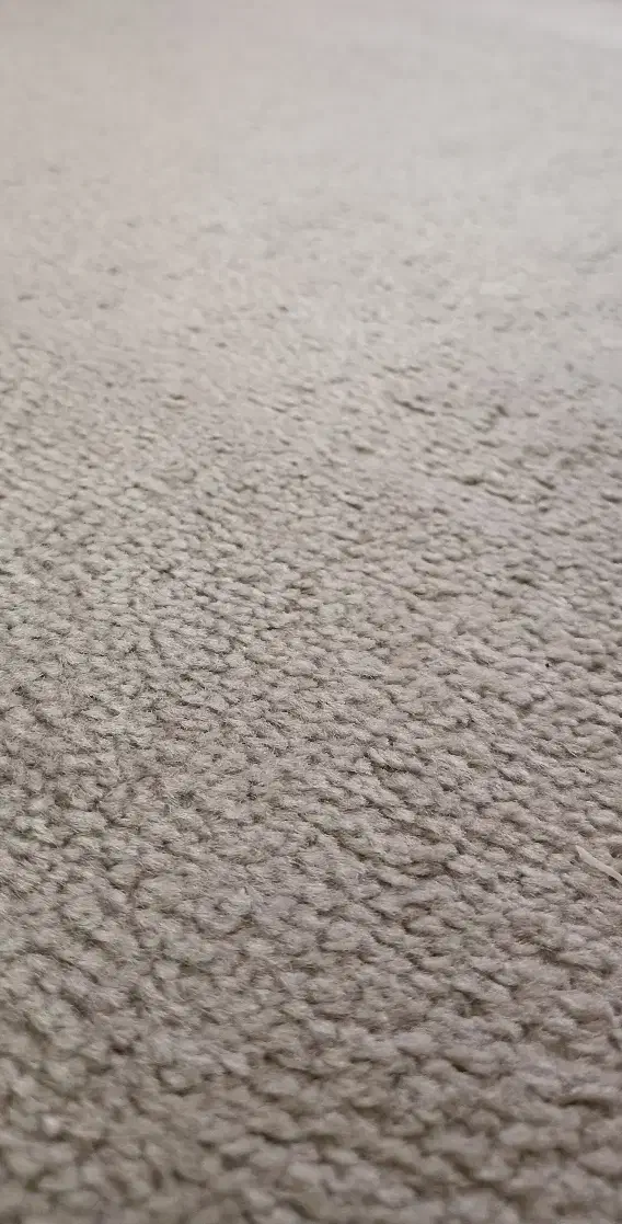 پالاز موکت طوسی ۷.۵ متر مربع|موکت|تهران, استخر|دیوار