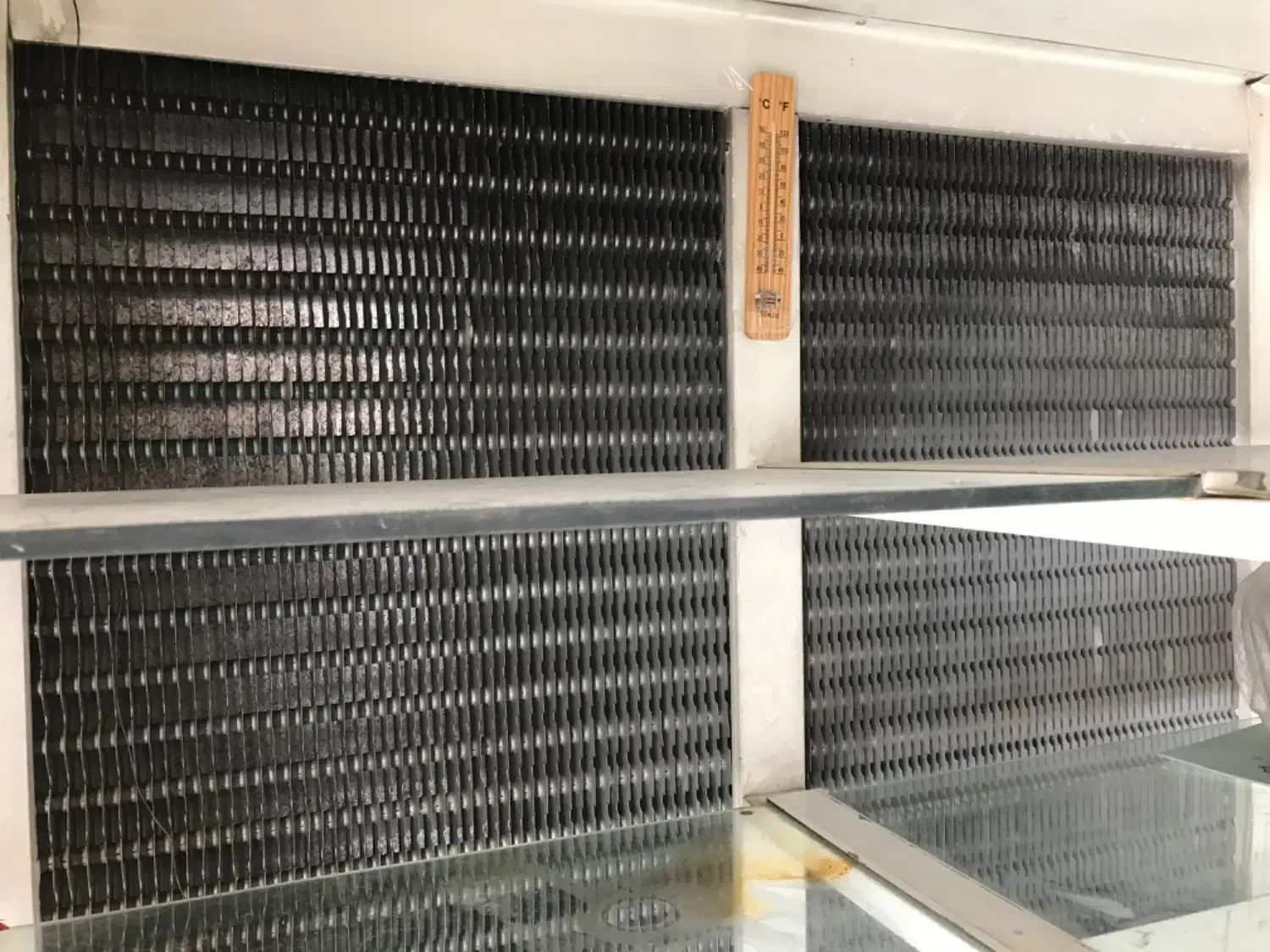 یخچال مغازه|فروشگاه و مغازه|کرج, شهرک رضوانیه|دیوار