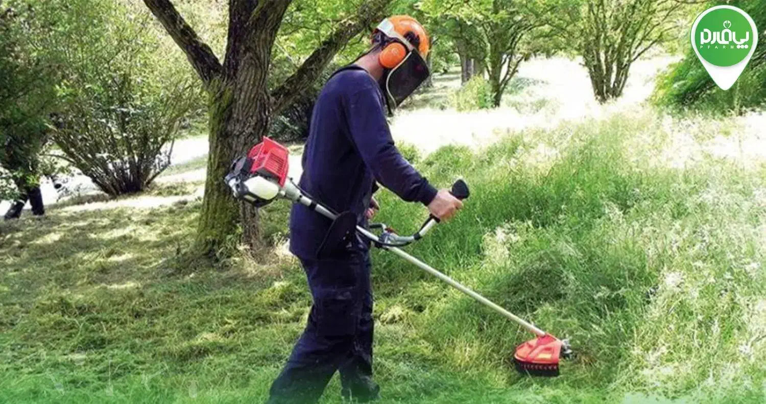 علفزنی|خدمات باغبانی و درختکاری|رشت, حافظ آباد|دیوار