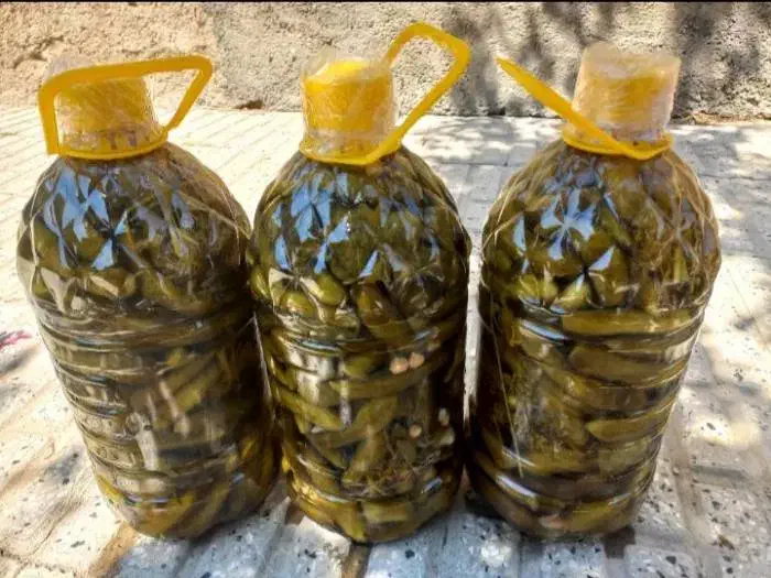 خیار شور درجه ۱|خوردنی و آشامیدنی|دهگلان, |دیوار