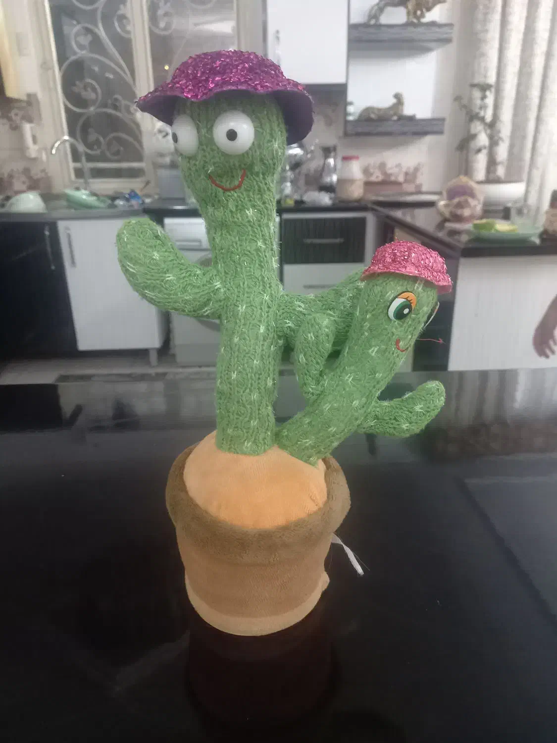 کاکتوس سخنگو|اسباب‌‌بازی|پاکدشت, حصار امیر|دیوار