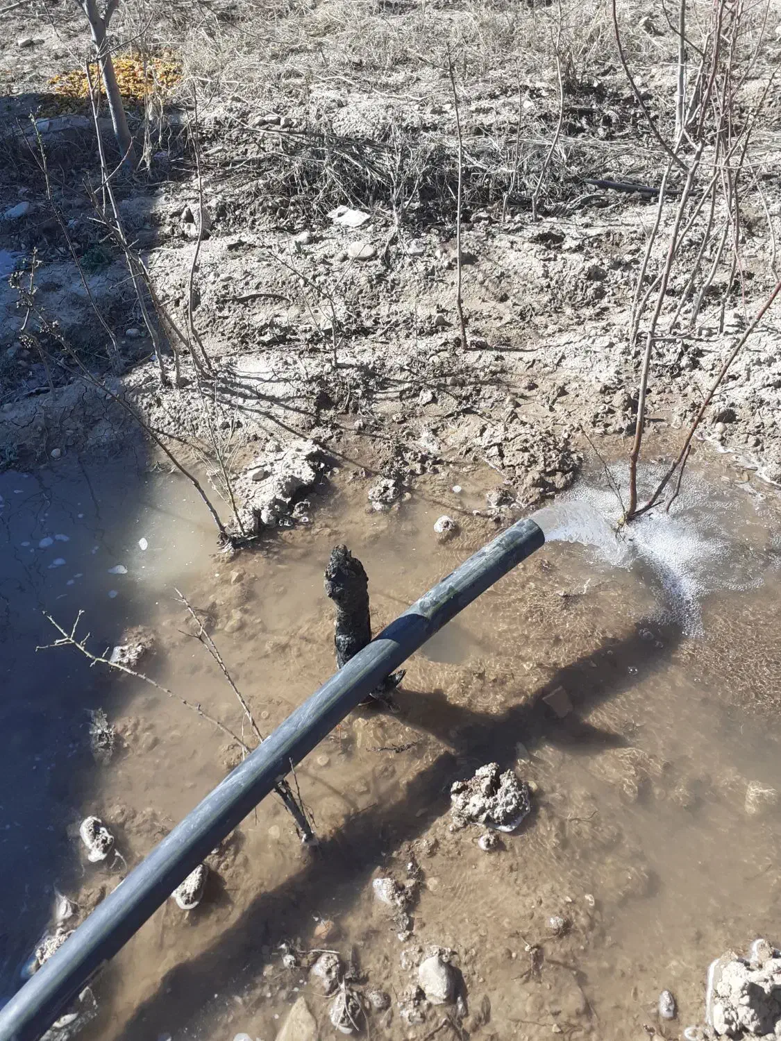 چاه کن چاه کنی مغنی|خدمات پیشه و مهارت|بجنورد, |دیوار