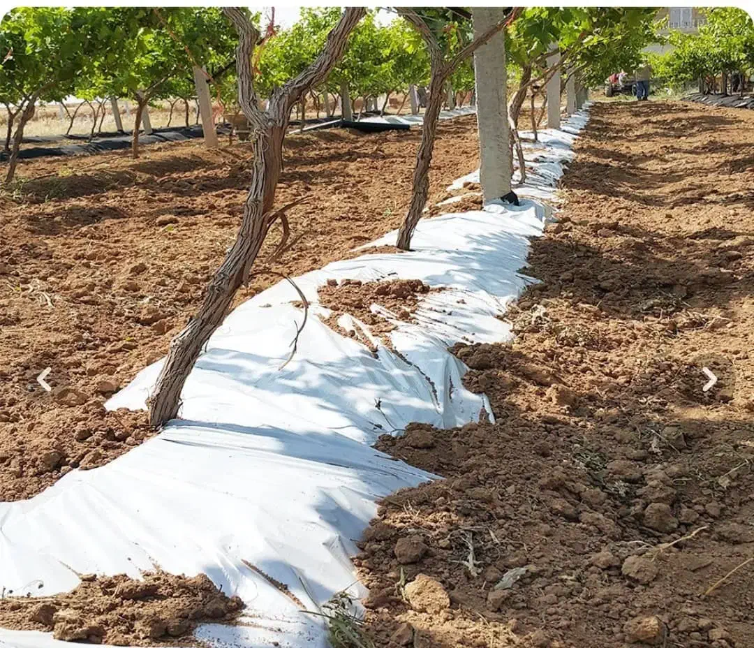 تجهیزات(مالچ) کشاورزی  جلوگیری از علف هرز|خدمات باغبانی و درختکاری|مرودشت, ثبت احوال|دیوار