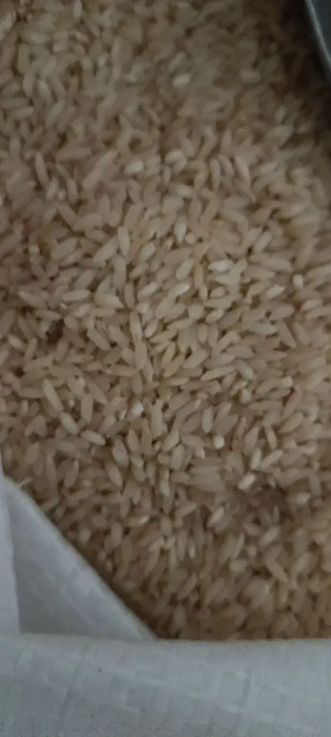 برنج انبربو|خوردنی و آشامیدنی|کوهدشت, |دیوار