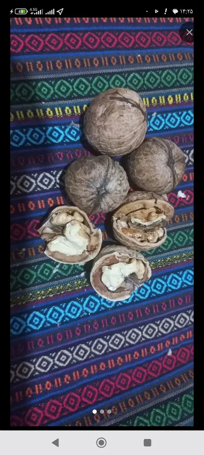 گردو کشمش شیره انگور|خوردنی و آشامیدنی|گرگان, |دیوار