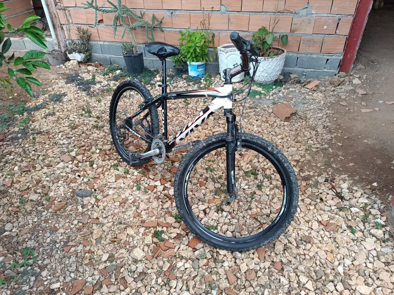 دوچرخه ویوا|دوچرخه، اسکیت، اسکوتر|نکا, |دیوار