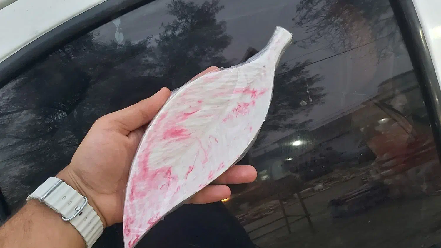 جاعودی مدل برگ|مجسمه، تندیس، ماکت|آبادان, |دیوار